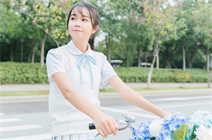 上海龙凤419：上海就业服务机构的职能与挑战